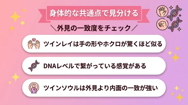 身体的な共通点で見分ける