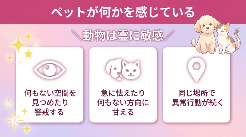 ペットが何かを感じている