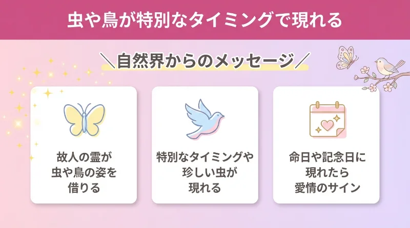 虫や鳥が特別なタイミングで現れる