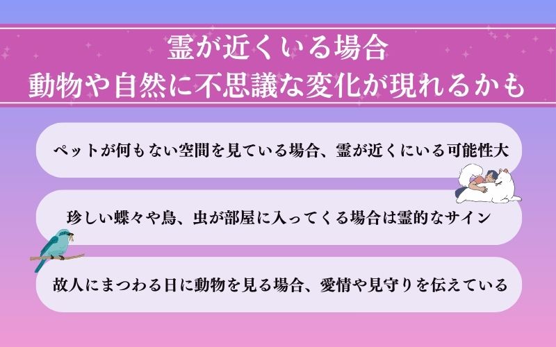 【動物・自然編】霊が近くにいるサイン