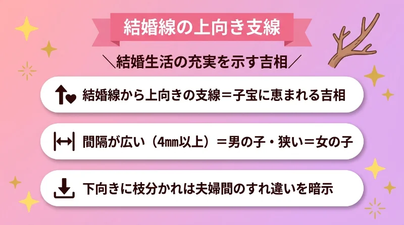 結婚線の上向き支線