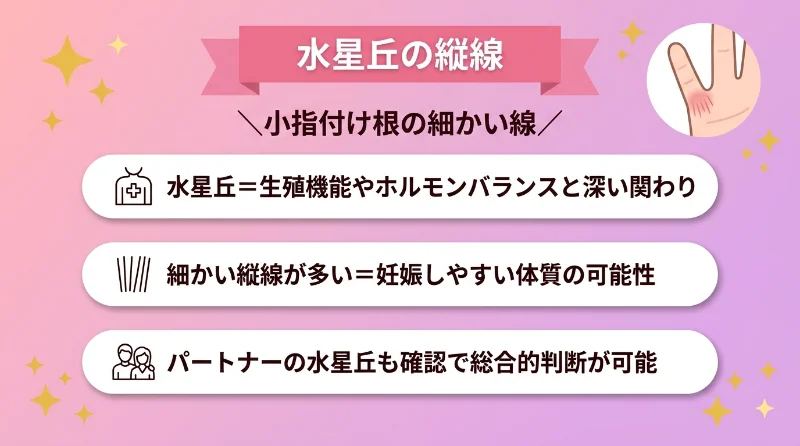水星丘の縦線